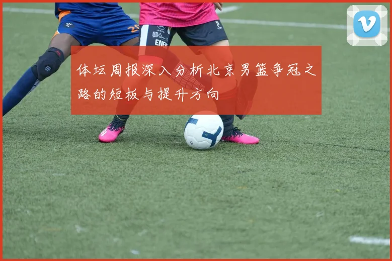 体坛周报深入分析北京男篮争冠之路的短板与提升方向